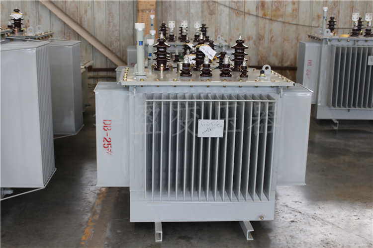 襄阳S20-800kVA/10kV/0.4kV变压器